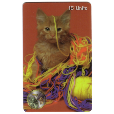 Cats